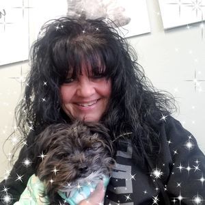 Meet your Posher, Dixie